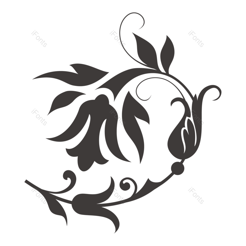花纹图片,图案元素,复古花纹PNG,藤蔓免抠素材